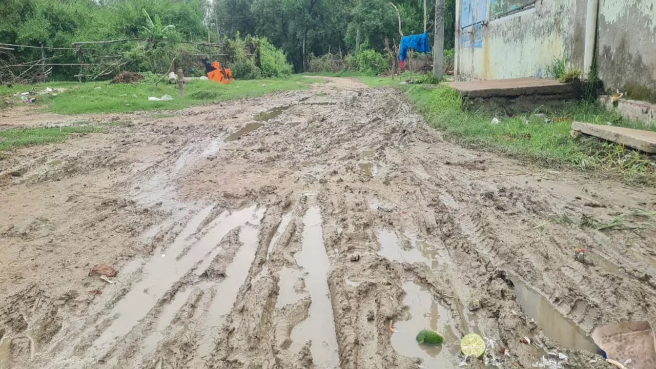 Gonda News: गांव के रास्ते की बदहाली: कीचड़ में फंसी जनजीवन की रफ्तार, विकास से कोसों दूर ग्रामीण