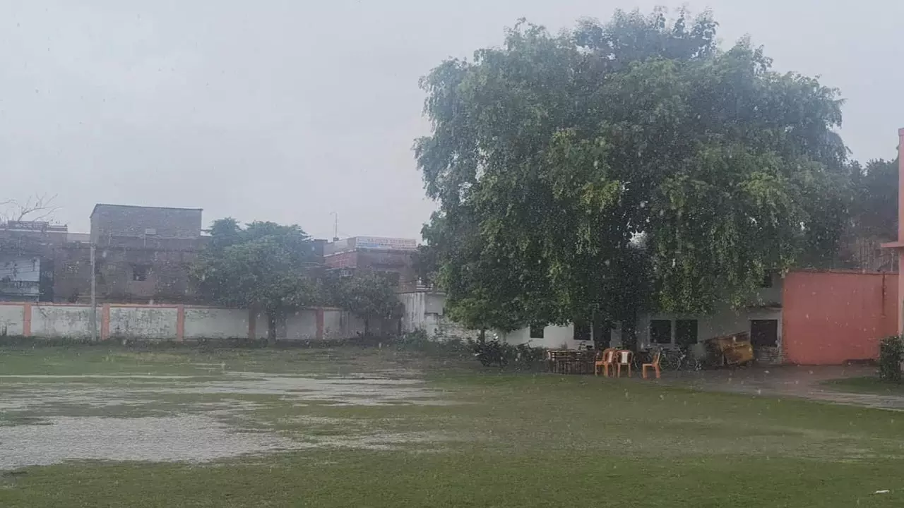 Balrampur: बदलता मौसम बना किसानों के लिए मुसीबत, कुछ फसलों को फायदा तो कुछ को नुकसान