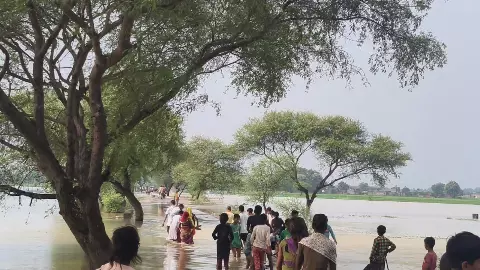 Balrampur News: बलरामपुर में पहाड़ी नालों का कहर, 20 गांवों में जलभराव