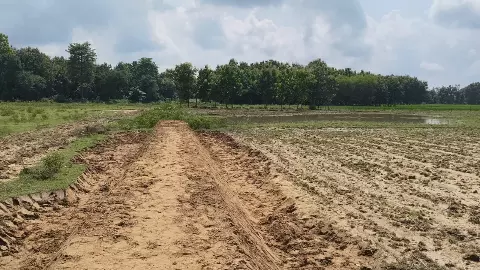 Balrampur News: चोरसी पंचायत में मनरेगा घोटाला, फर्जी हाजिरी से सरकारी धन का दुरुपयोग Balrampur News: चोरसी पंचायत में मनरेगा घोटाला, फर्जी हाजिरी से सरकारी धन का दुरुपयोग