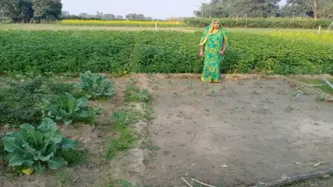 UP News: मोटे अनाज की खेती से चमकी सुमन देवी की किस्मत, बनीं हजारों महिलाओं की प्रेरणा