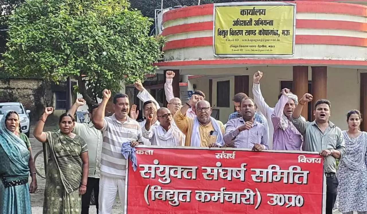 Electricity Privatization