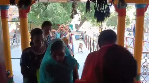 Shravasti: नवरात्र के पहले दिन मां शैलपुत्री की पूजा, मंदिरों में उमड़ी भीड़ Shravasti: नवरात्र के पहले दिन मां शैलपुत्री की पूजा, मंदिरों में उमड़ी भीड़