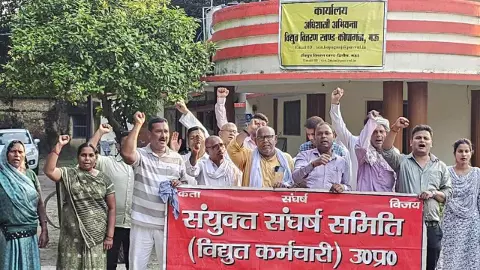Electricity Privatization