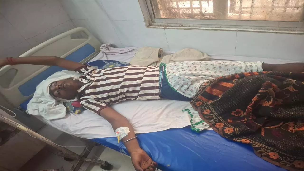 Brothers deliberately attack sister and her son in land dispute, condition serious