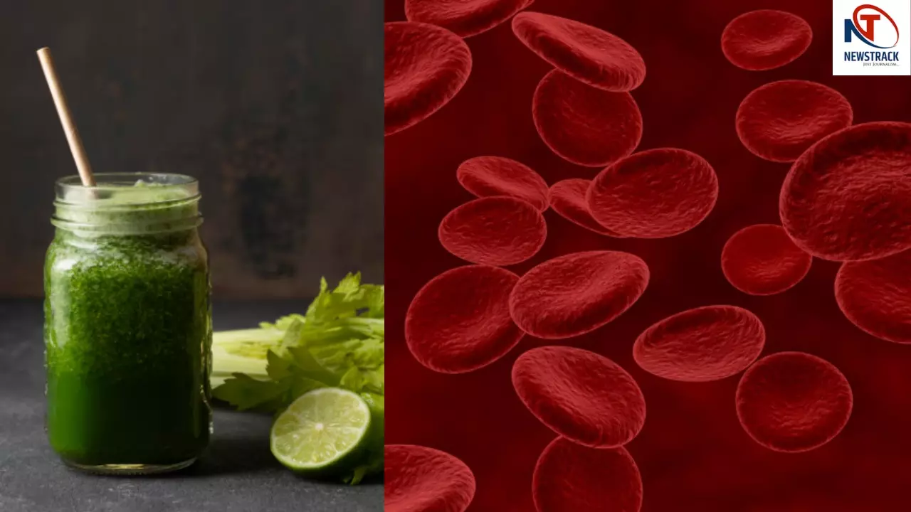 Best Juice For Blood Detox