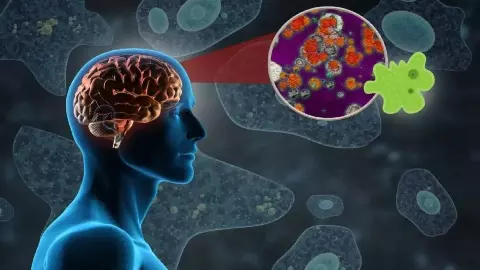 Brain-Eating Amoeba Kerala Brain-Eating Amoeba Kerala