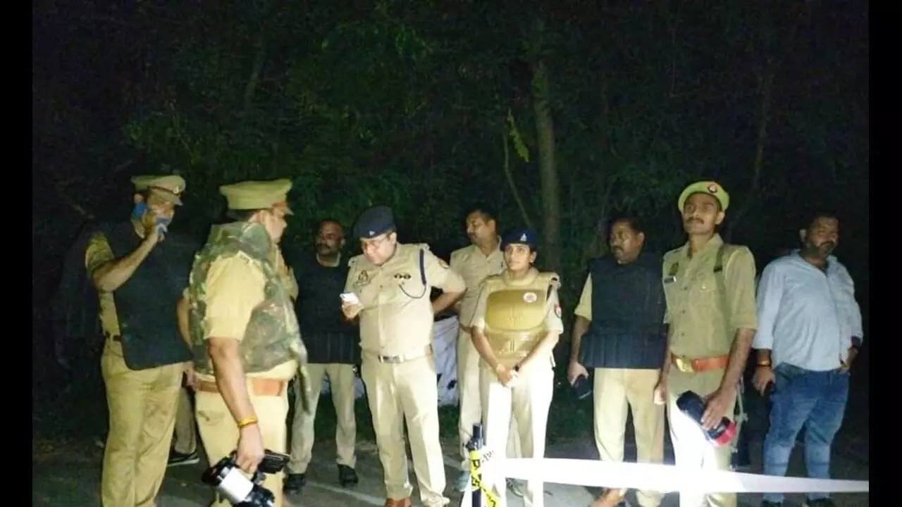 Theft gang arrested
