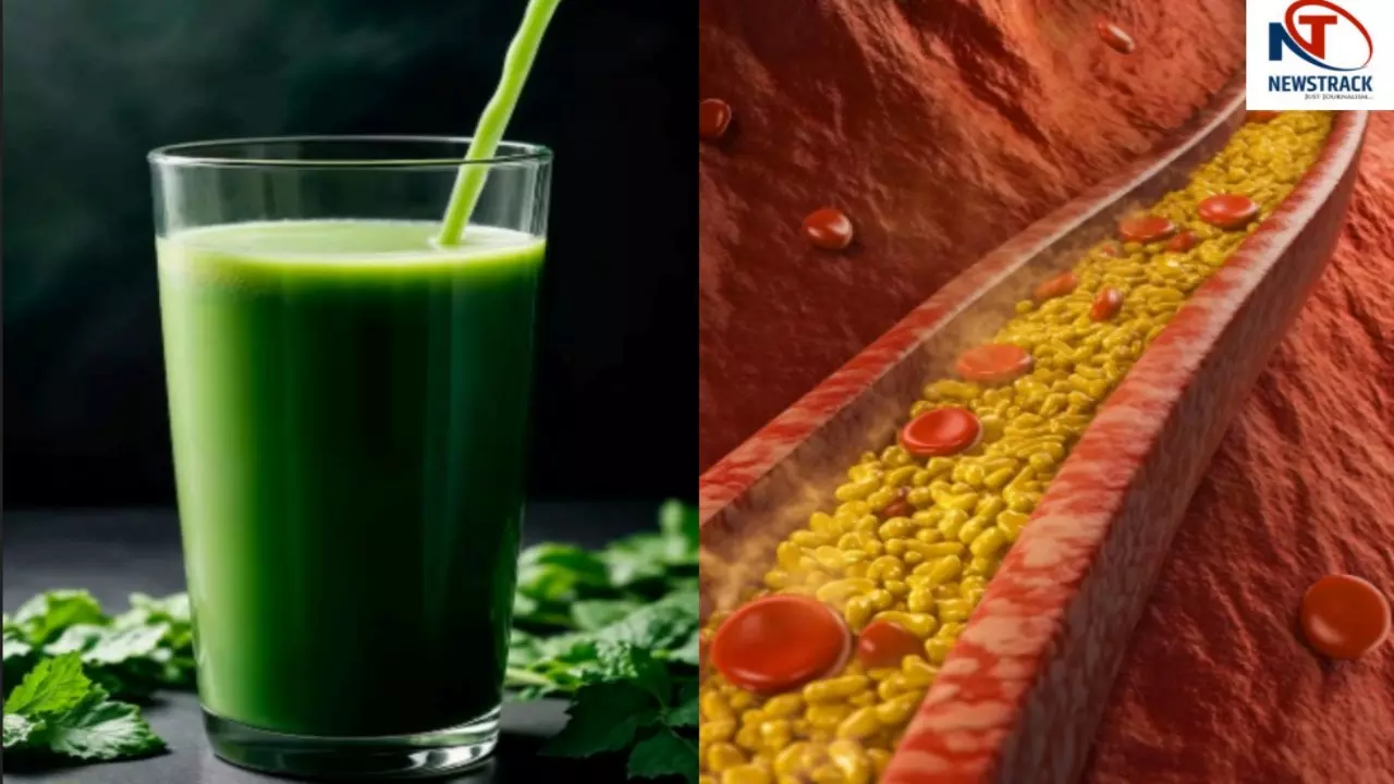 Best Juice For Cholesterol Best Juice For Cholesterol
