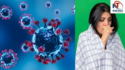 Varicella Zoster Virus Varicella Zoster Virus