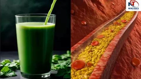 Best Juice For Cholesterol
