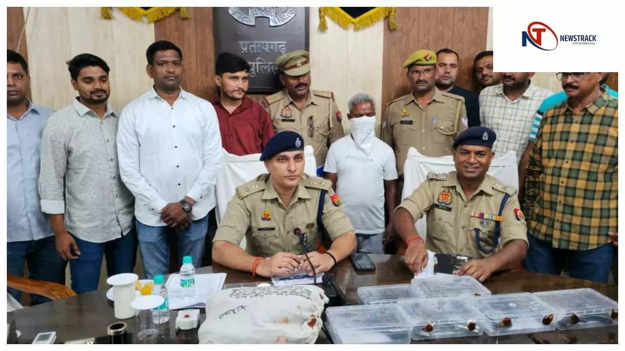Pratapgarh News: अवैध असलहा तस्कर गिरफ्तार, 5 पिस्टल व मोबाइल बरामद, एसपी का खुलासा