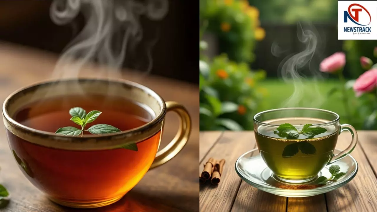 Tulsi Kadha Benefits, tulsi ke fayde