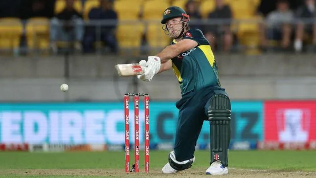 Gorgeous Marsh Powers Australia To Crushing Win Over Oman In Dead Rubber Picture for Your Screen Gorgeous Marsh Powers Australia To Crushing Win Over Oman In Dead Rubber Picture for Your Screen