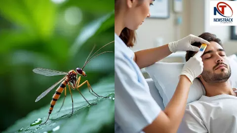 Dengue Cases, Dengue fever
