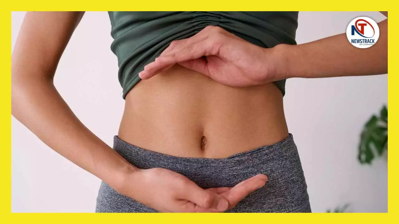 Indian Diet Analysis Reports Papi Pet Worship and Health Awareness