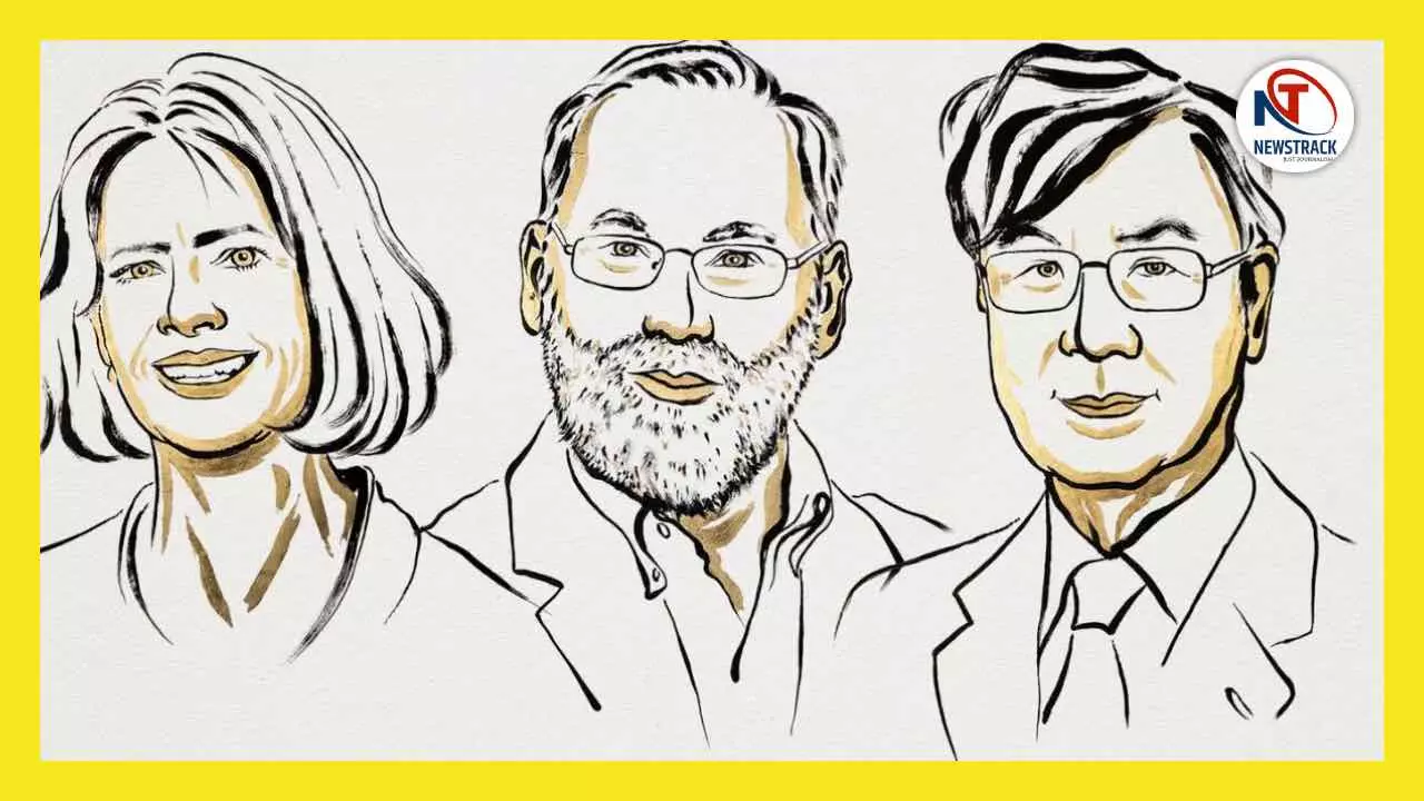 Nobel Prize 2025 Medicine Immune System Research