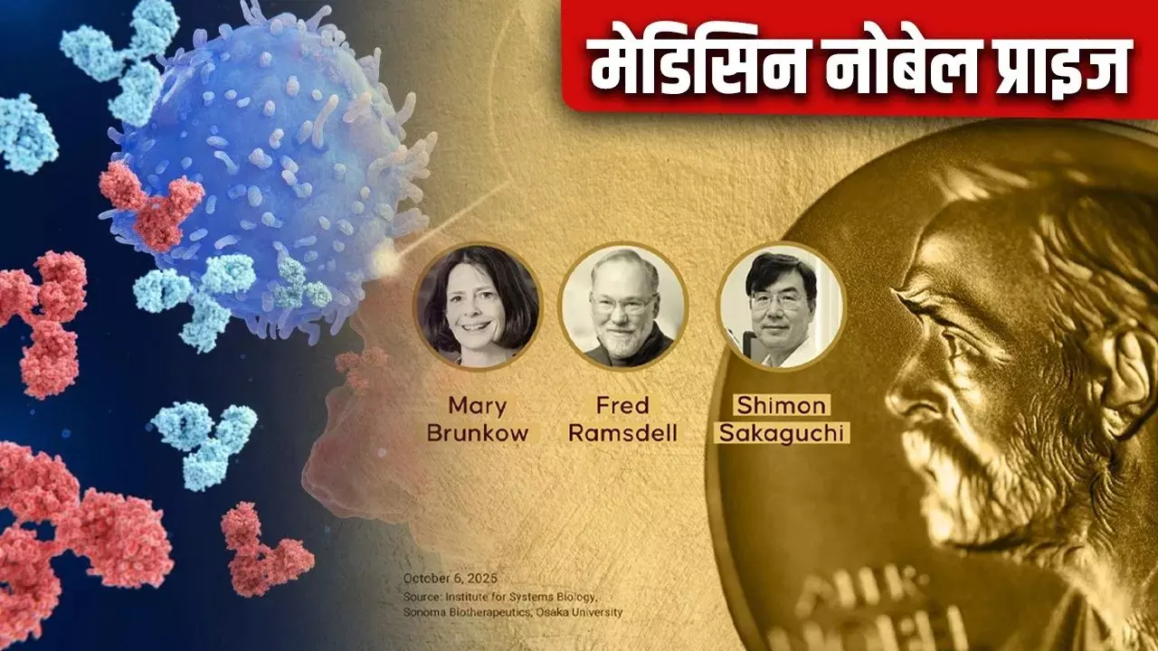 2025 Nobel Prize in Medicine