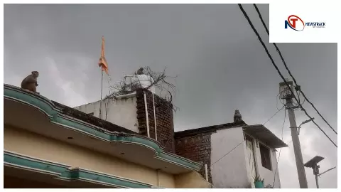 Chandauli News: चंदौली में बंदरों का आतंक, स्कूल से थाने तक फैला डर का माहौल Chandauli News: चंदौली में बंदरों का आतंक, स्कूल से थाने तक फैला डर का माहौल