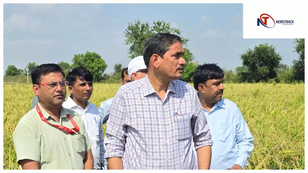 Mathura News: मथुरा में पराली जलाने पर जिलाधिकारी ने दिखाई सख्ती, अधिकारियों को दिए कड़े निर्देश