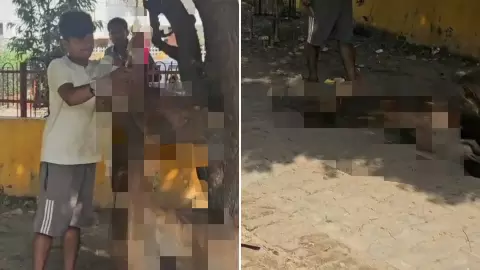 लखनऊ में क्रूरता की हदें पार! खच्चर के गले में रस्सी बांध की दरिंदगी...AASRA ने लिया मामले का संज्ञान, पुलिस-प्रशासन को पत्र लिखकर की जांच की मांग लखनऊ में क्रूरता की हदें पार! खच्चर के गले में रस्सी बांध की दरिंदगी...AASRA ने लिया मामले का संज्ञान, पुलिस-प्रशासन को पत्र लिखकर की जांच की मांग