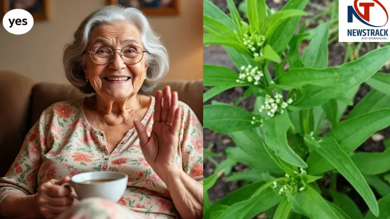 Nari Damdami Benefits