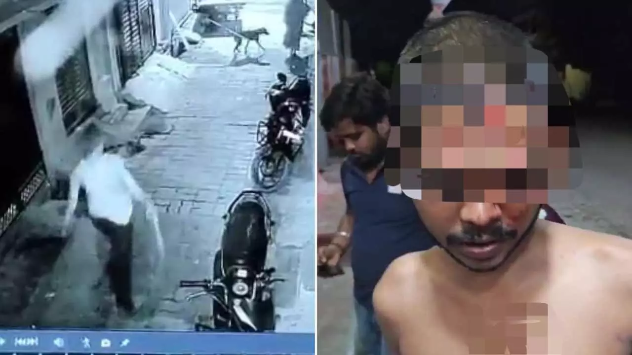 Lucknow: अलीगंज में सब्जी आढ़त के मुंशी पर बांके से हमला, CCTV में कैद हुई वारदात, इलाके में दहशत Lucknow: अलीगंज में सब्जी आढ़त के मुंशी पर बांके से हमला, CCTV में कैद हुई वारदात, इलाके में दहशत