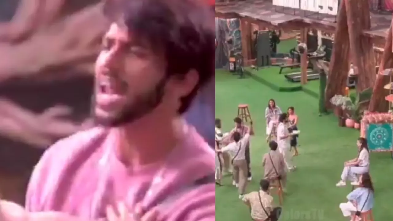 Bigg Boss 19 Live Shehbaz Vs Basheer Ali Bigg Boss 19 Live Shehbaz Vs Basheer Ali