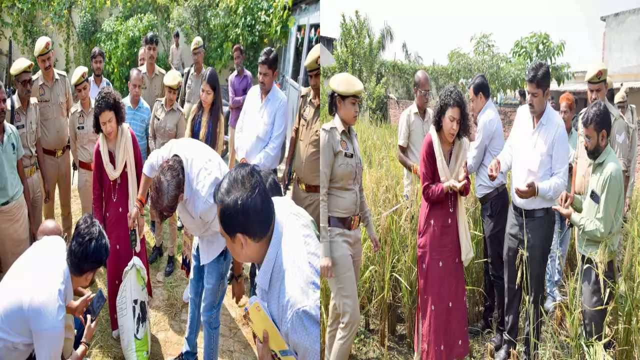Lakhimpur Kheri: डीएम ने अपनी देखरेख में कराई क्रॉप कटिंग, किसानों से सीधा संवाद कर जानी समस्याएं