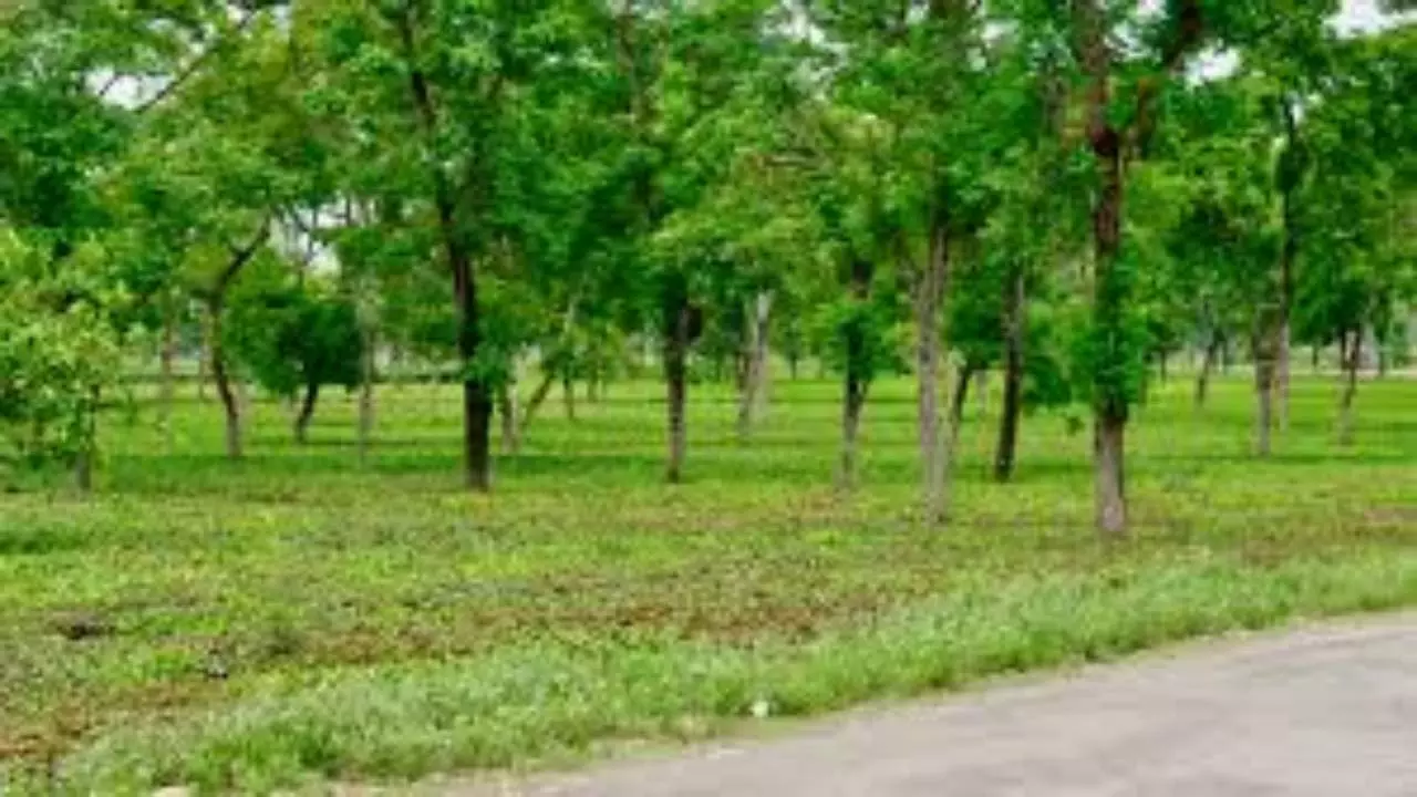 Chhattisgarh 25 Years: From Naxal Zones to Green Growth