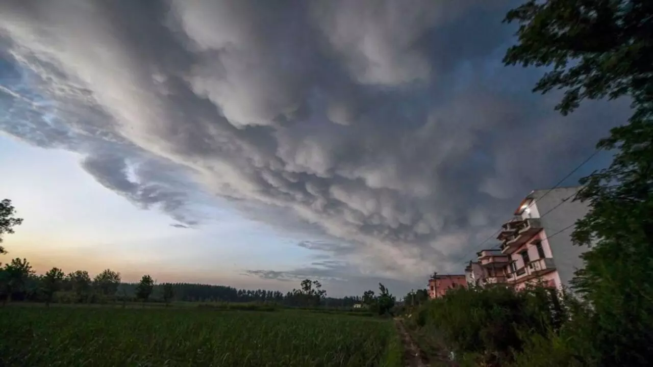 UP weather today