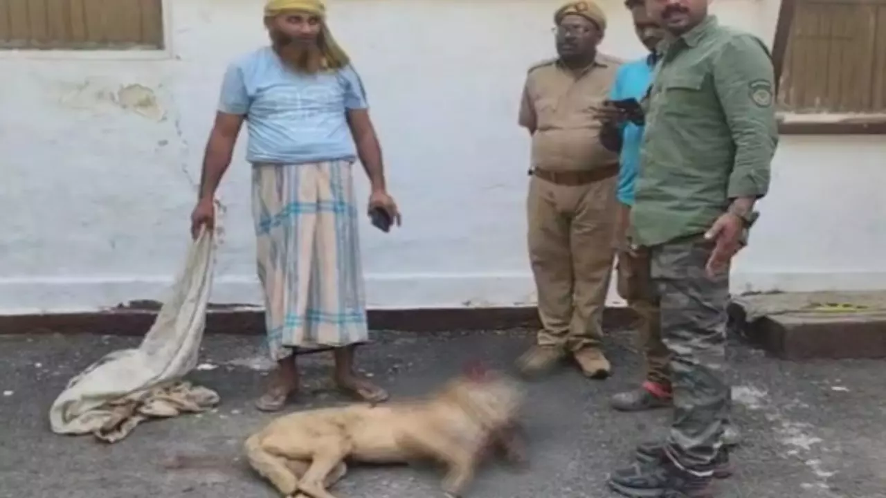 Bahraich Wolf Terror