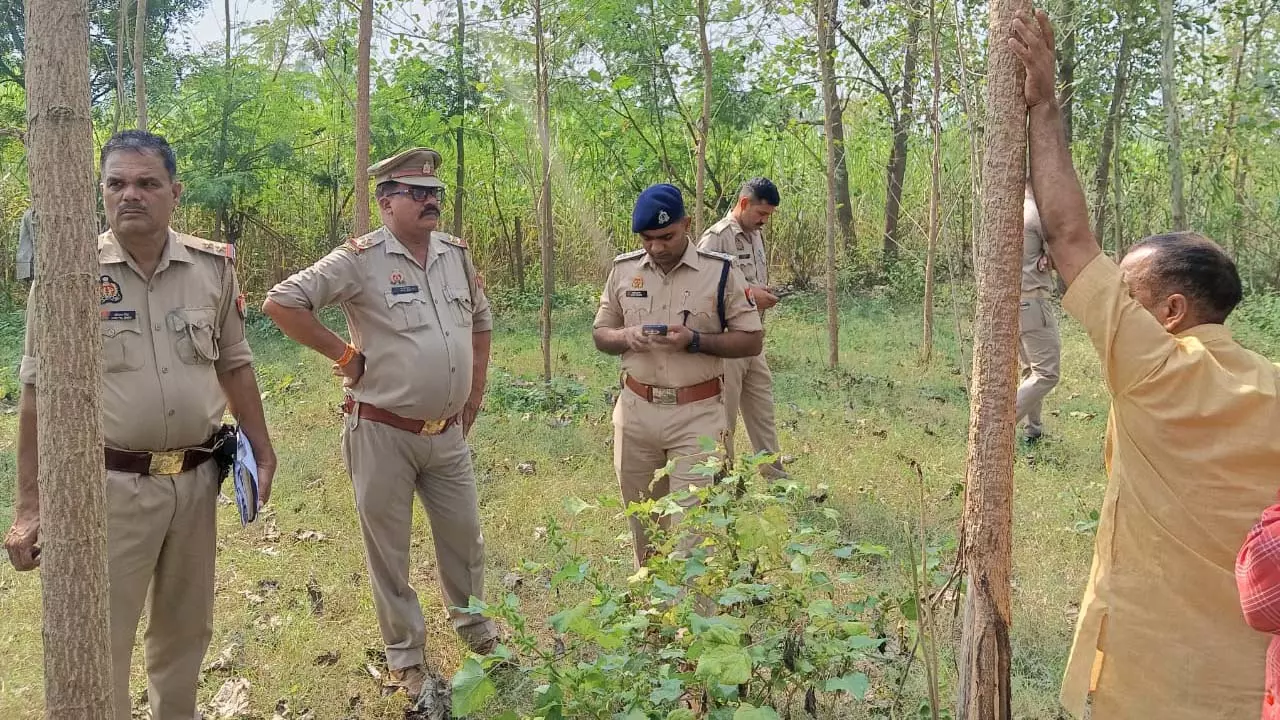 Body of elderly man found hanging from tree in sugarcane field, Juti police investigating