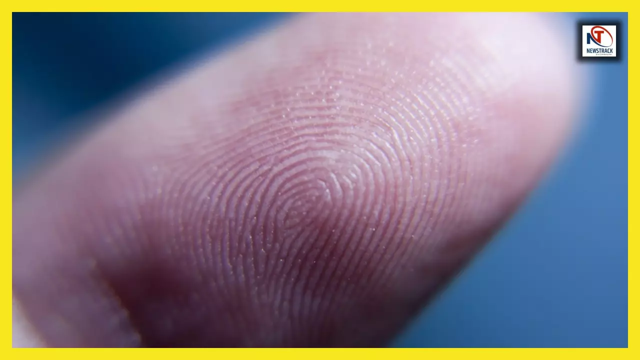 Fingerprint facts: आठ अरब लोग,सोलह अरब अंगूठे और हर इंसान का अनोखा फिंगरप्रिंट! कैसे?जानिए रहस्य
