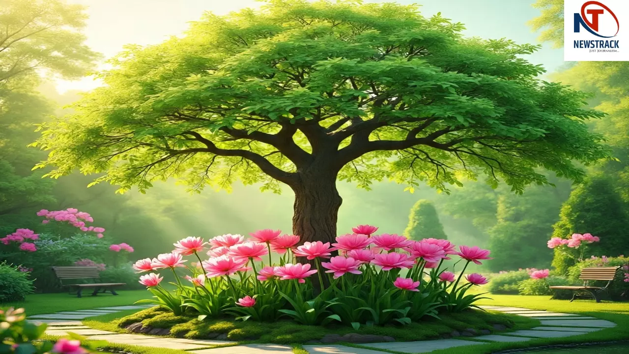 Parijat Tree Benefits