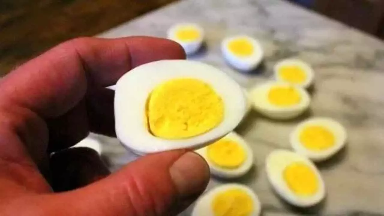 Egg Overdose Effects