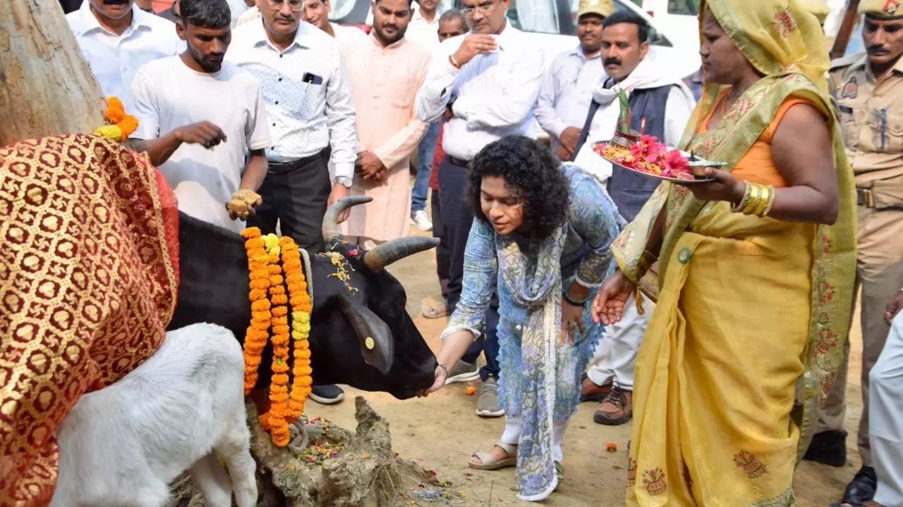 Lakhimpur kheri: गोवर्धन पूजा पर लखीमपुर खीरी की गोशालाओं में गौपूजनोत्सव, डीएम ने की विशेष पूजा
