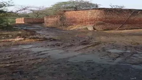 Mathura News: आंवला सुल्तानपुर में गंदगी का अंबार, वीडियो वायरल कर सफाई कराने की मांग