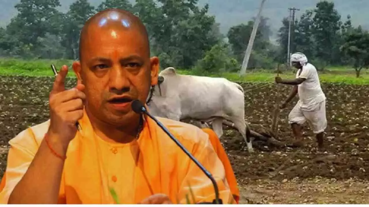 UP News: योगी सरकार की नीतियों को किसानों का साथ, धान बिक्री हेतु 1.37 लाख पंजीकरण UP News: योगी सरकार की नीतियों को किसानों का साथ, धान बिक्री हेतु 1.37 लाख पंजीकरण