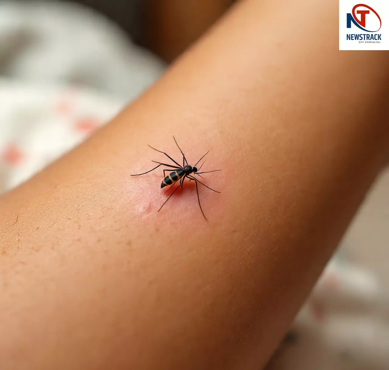 Chikungunya Treatment