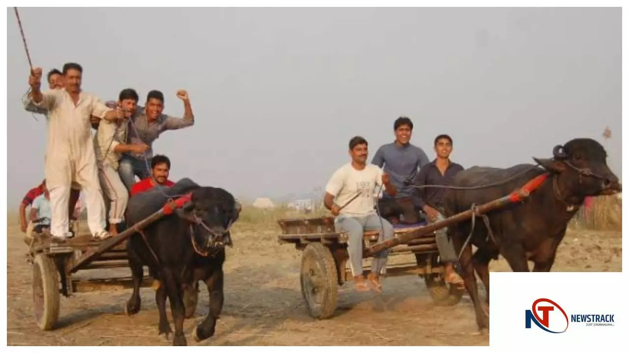 Hapur News : कार्तिक पूर्णिमा मेले में भैंसा दौड़ प्रमोट करने वाले 18 यूट्यूबर्स पर पुलिस कार्रवाई