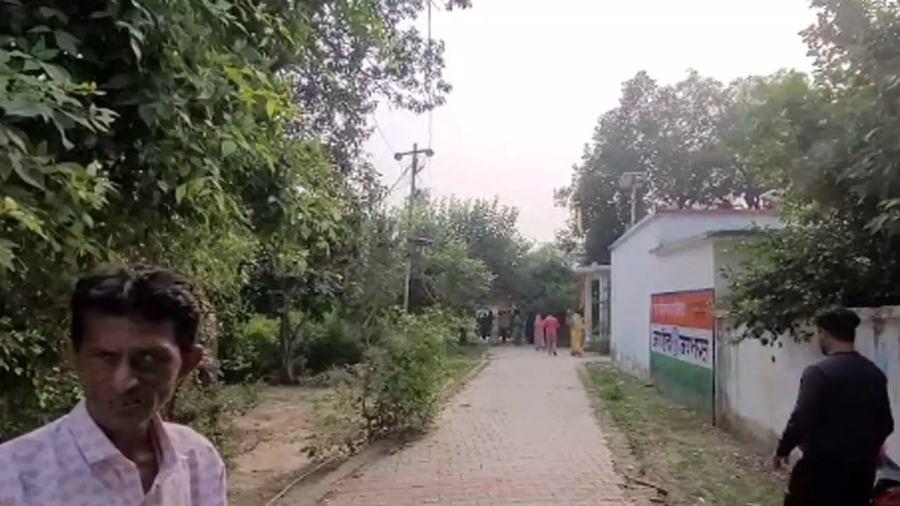 Body of youth found hanging from tree, suspected murder sensational in village Body of youth found hanging from tree, suspected murder sensational in village