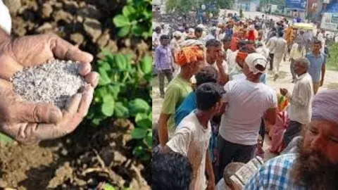 Fertilizer Shortage in Lakhimpur