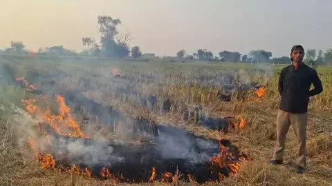 Mathura News: बेरी में पराली जलाने पर सख्ती, एक किसान गिरफ्तार Mathura News: बेरी में पराली जलाने पर सख्ती, एक किसान गिरफ्तार