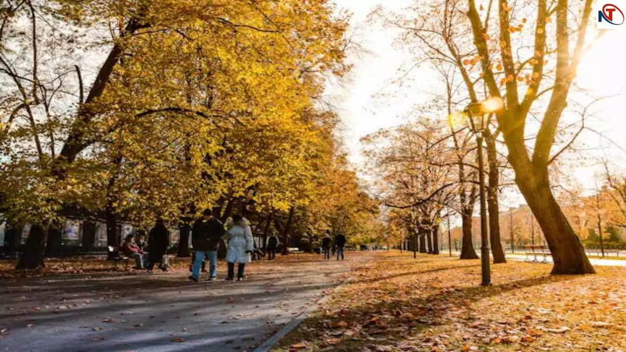 Poland Population Crisis