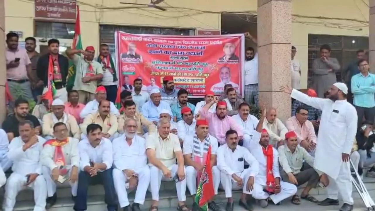 Shamli News: 2027 में किसानों की अनदेखी पर सपा ने शामली में किया जोरदार प्रदर्शन Shamli News: 2027 में किसानों की अनदेखी पर सपा ने शामली में किया जोरदार प्रदर्शन