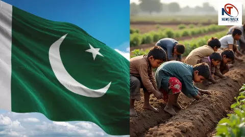 पाकिस्तान का दर्दनाक सच: सिंध में 13 लाख बच्चे बाल मजदूर! 65% कृषि के दलदल में, यूनिसेफ सर्वे में चौंकाने वाले खुलासे