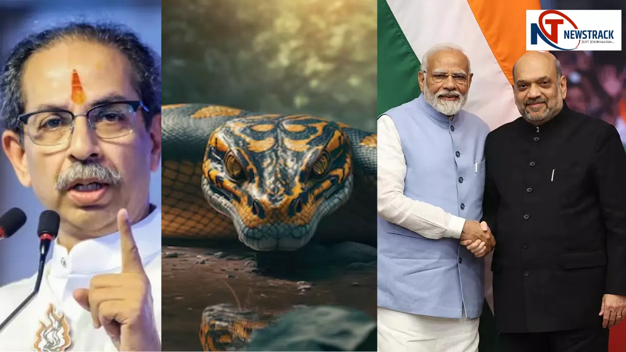 मुंबई पर दो व्यापारियों की नज़र, अमित शाह एनाकोंडा! उद्धव ठाकरे का निर्धार मेळावा में मोदी-शाह पर तीखा हमला मुंबई पर दो व्यापारियों की नज़र, अमित शाह एनाकोंडा! उद्धव ठाकरे का निर्धार मेळावा में मोदी-शाह पर तीखा हमला