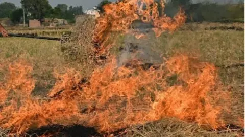 Shravasti News: श्रावस्ती में पराली जलाने पर किसानों पर लगेगा जुर्माना, शुरू हुई कार्रवाई