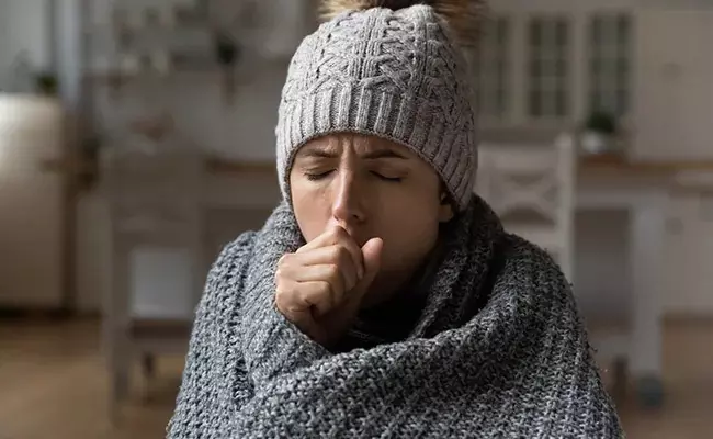 Top Winter Vegetables Top Winter Vegetables